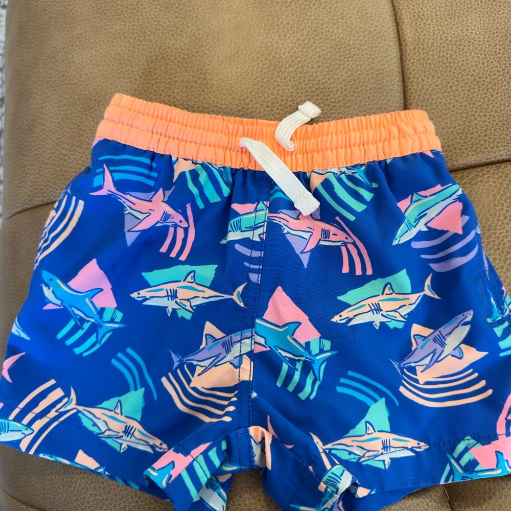 Chubbies Toddler swim shorts